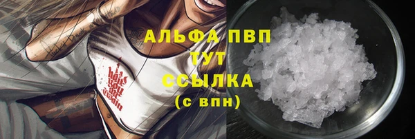 спиды Надым