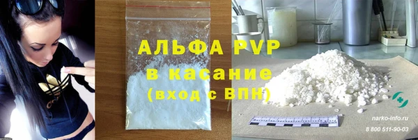 стаф Арсеньев