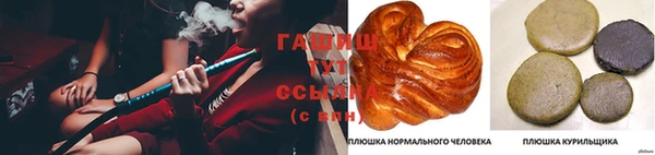 стаф Арсеньев