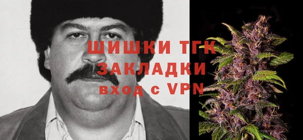 стаф Арсеньев